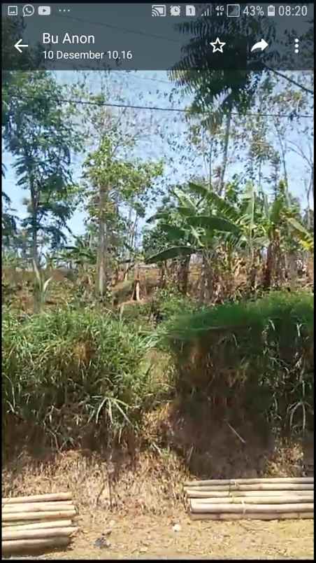 dijual tanah jalan karang sari