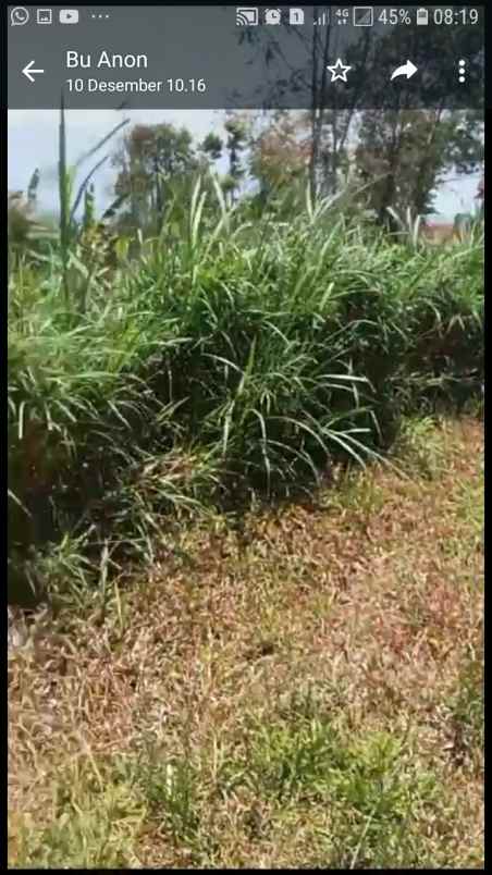 dijual tanah jalan karang sari