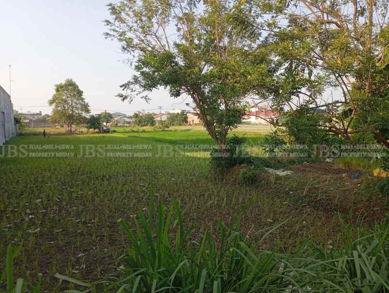 dijual tanah jalan sukarela timur jalan