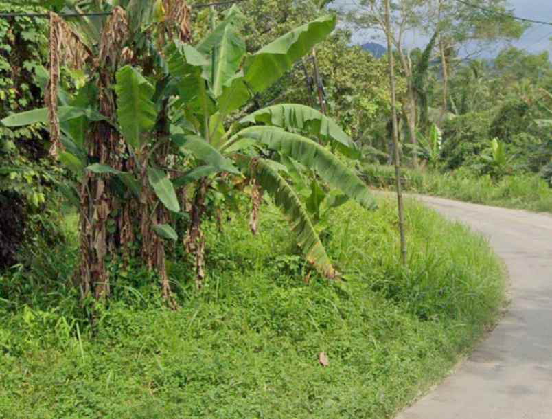 dijual tanah jl ciwedus gagunung dekat