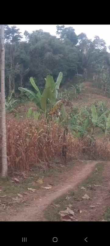 dijual tanah jl h r danuresmaya desa jati