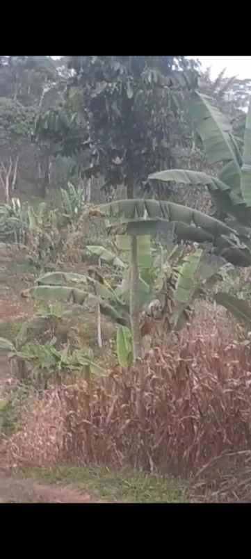 dijual tanah jl h r danuresmaya desa jati