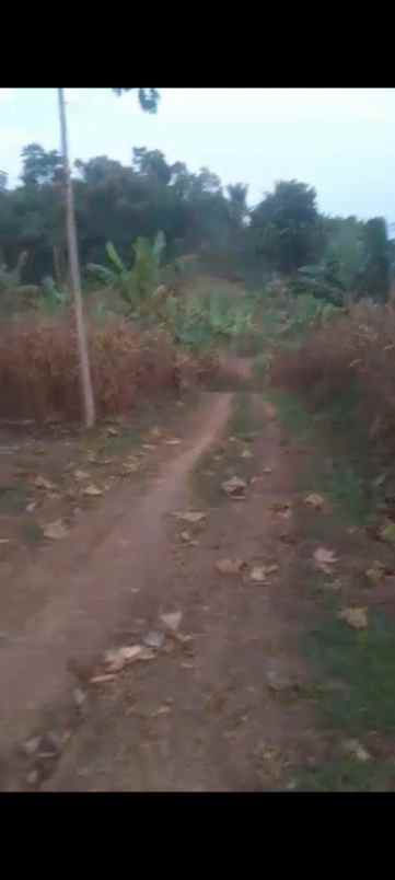 dijual tanah jl h r danuresmaya desa jati