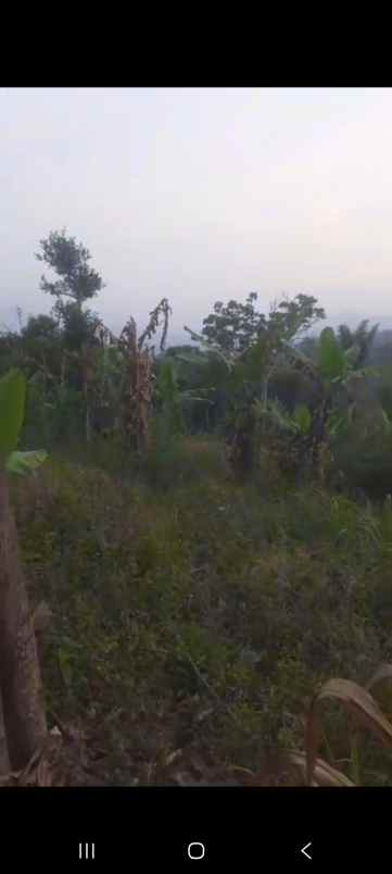dijual tanah jl h r danuresmaya desa jati