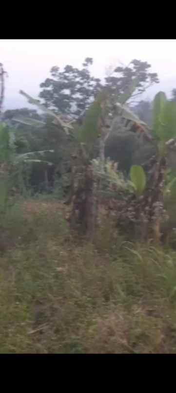 dijual tanah jl h r danuresmaya desa jati