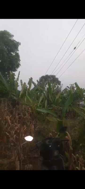 dijual tanah jl h r danuresmaya desa jati