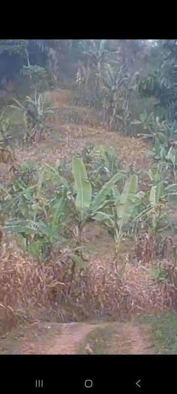 dijual tanah jl h r danuresmaya desa jati