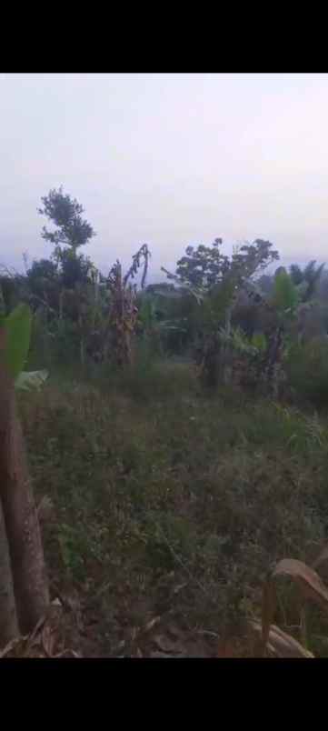 dijual tanah jl h r danuresmaya desa jati