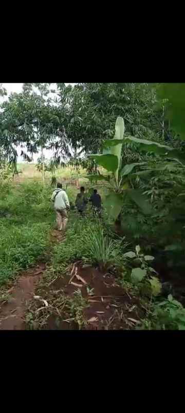 dijual tanah jl jayadikarta cihanyir