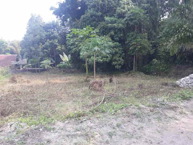 dijual tanah jl kaliurang km 13