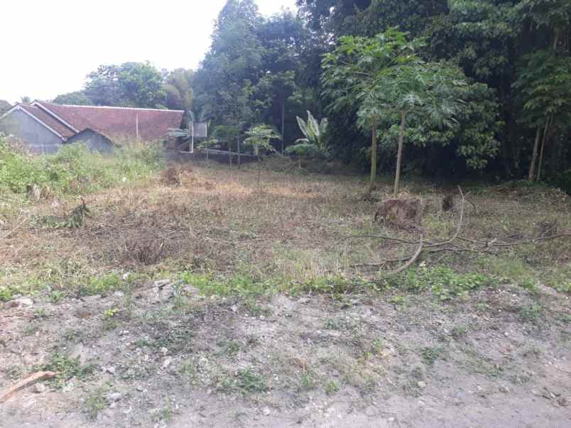 dijual tanah jl kaliurang km 13