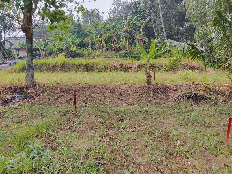 dijual tanah jl kh muhasan 1 meruyung