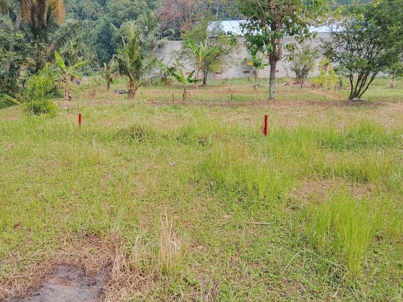 dijual tanah jl kh muhasan 1 meruyung