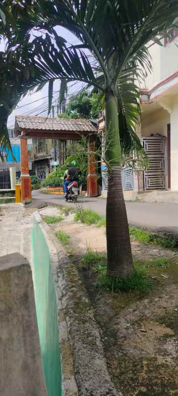 dijual tanah jl nangka gg belong