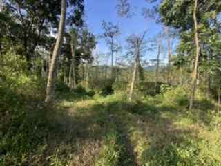 dijual tanah jl raya sukamakmur puncak dua