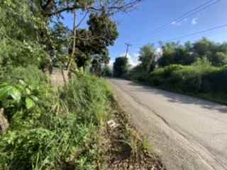 dijual tanah jl raya sukamakmur puncak dua