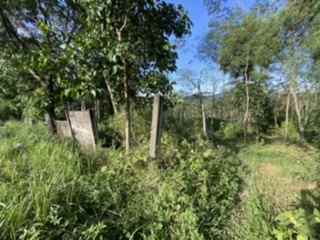 dijual tanah jl raya sukamakmur puncak dua