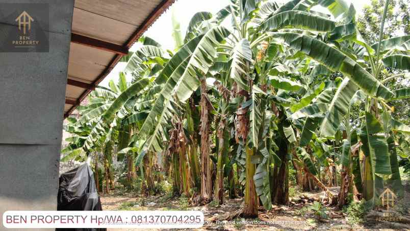 dijual tanah jl tanah ii petojo selatan