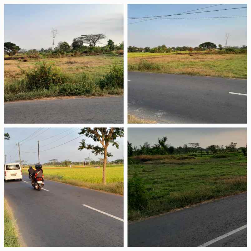 dijual tanah jln wisata janti