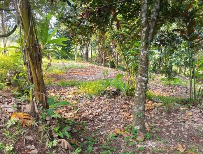 dijual tanah kalisuren