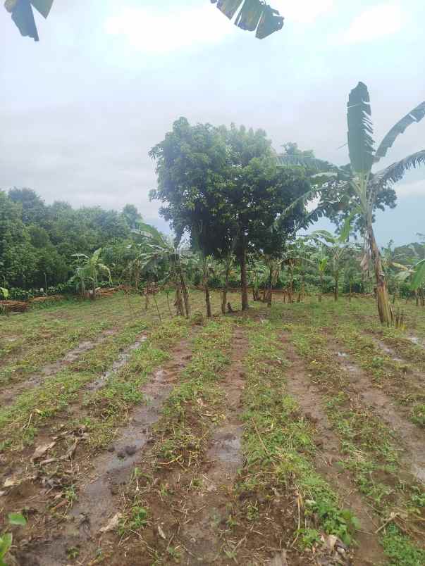 dijual tanah kecamatan cijeruk bogor