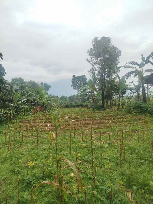 dijual tanah kecamatan cijeruk bogor