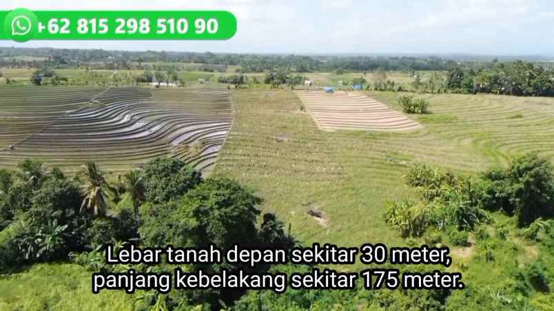 dijual tanah kecamatan selemadeg