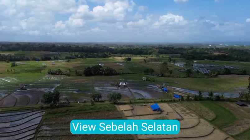dijual tanah kecamatan selemadeg