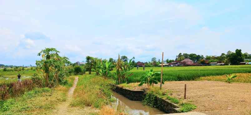dijual tanah kelating tabanan bali