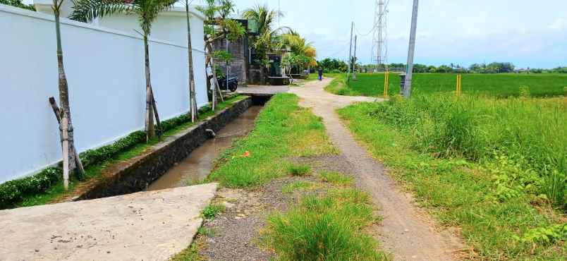 dijual tanah kelating tabanan bali
