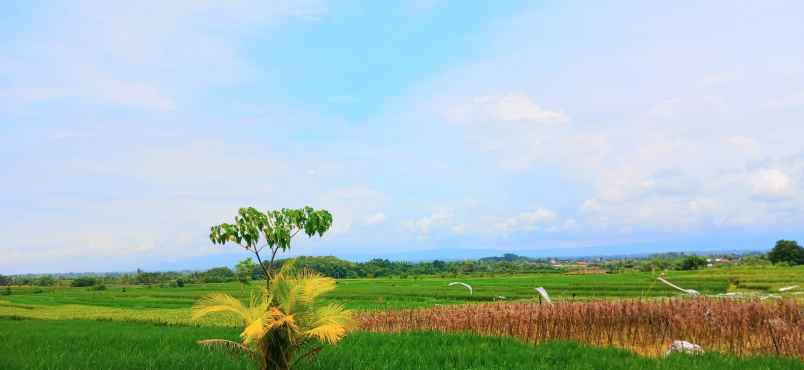 dijual tanah kelating tabanan bali