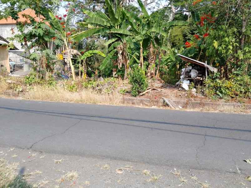 dijual tanah kelating tabanan bali