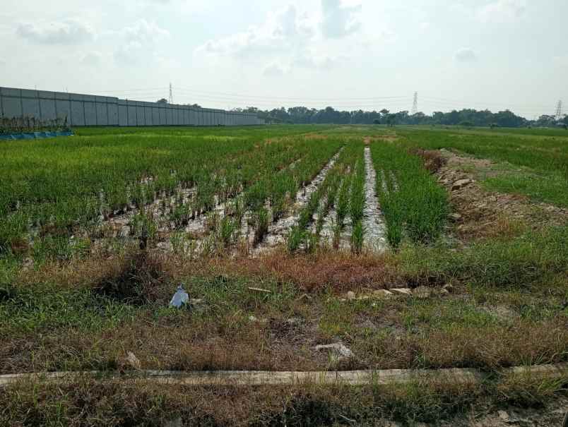 dijual tanah kosong dekat itb arjawinangun
