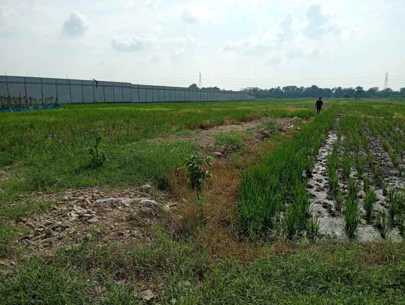 dijual tanah kosong dekat itb arjawinangun
