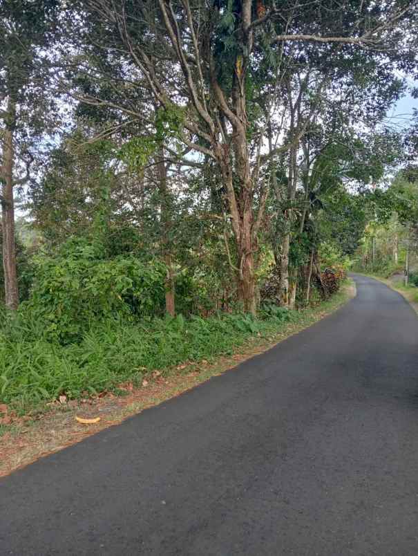 dijual tanah lokasi strategis di wongayagede