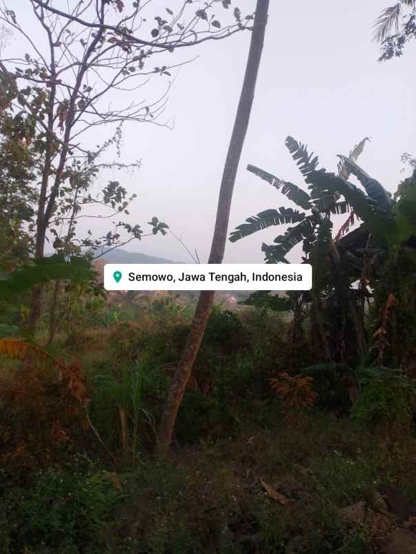 dijual tanah macanan semowo kab semarang