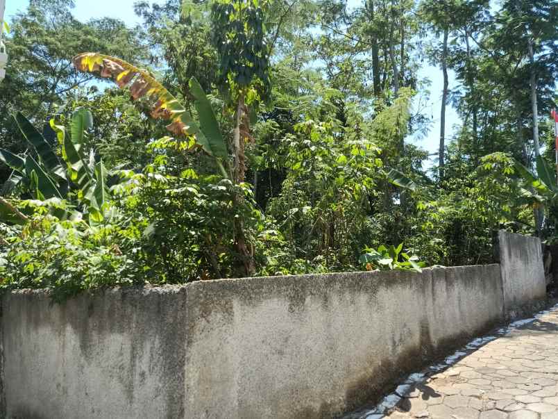 dijual tanah mulawarman tembalang semarang