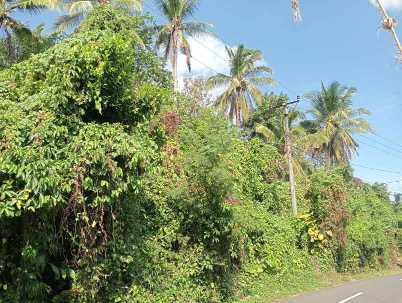 dijual tanah murah cocok untuk usaha besar investasi
