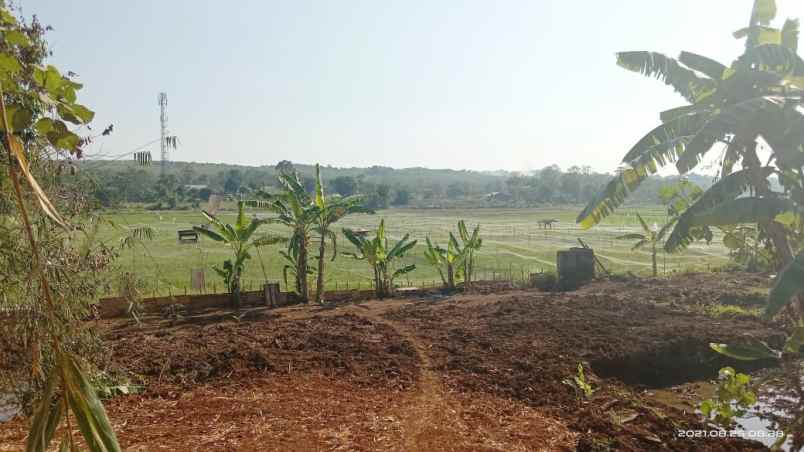 dijual tanah ngaliyan