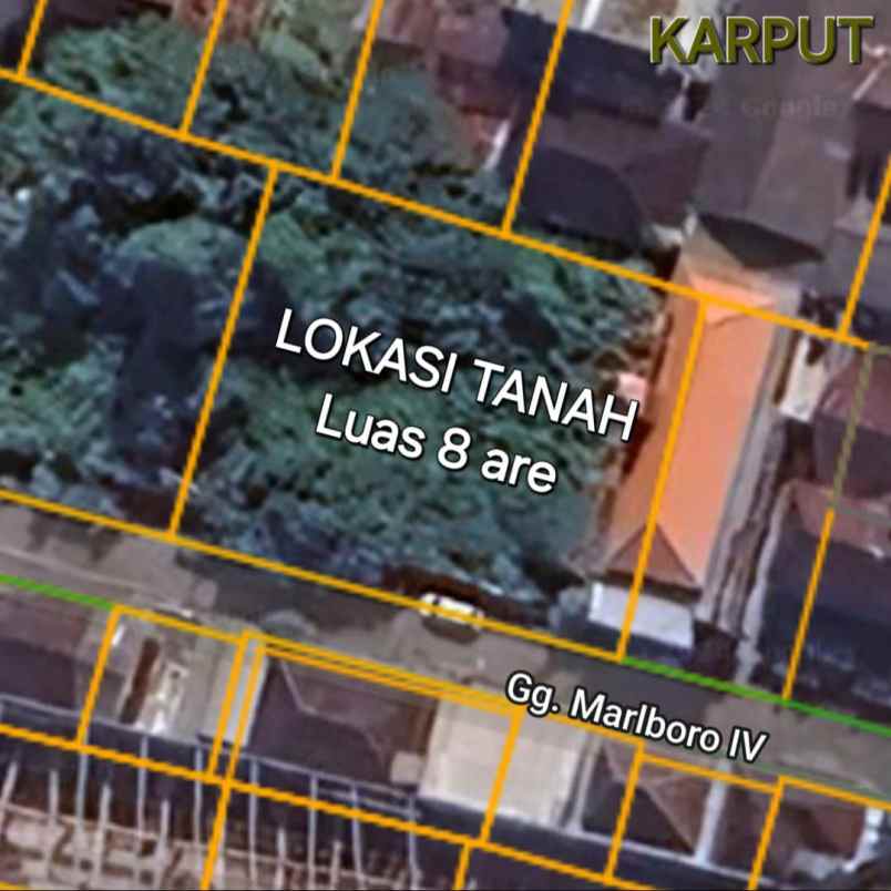 dijual tanah padangsa bian klod