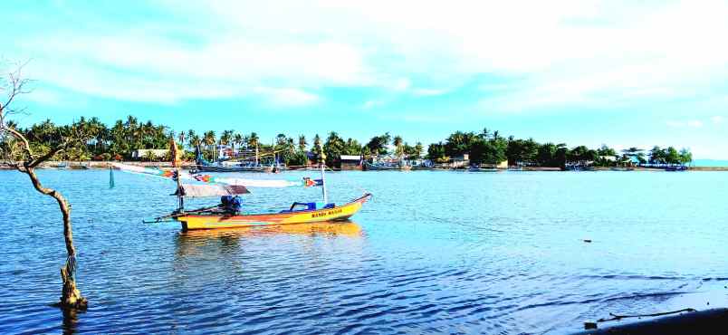 dijual tanah pengambengan negara