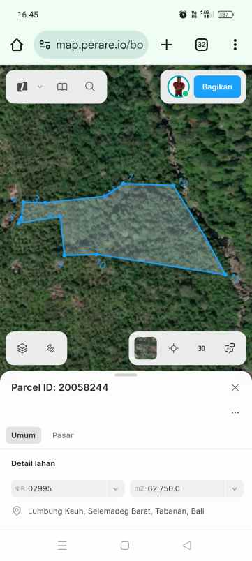 dijual tanah perkebunan murah