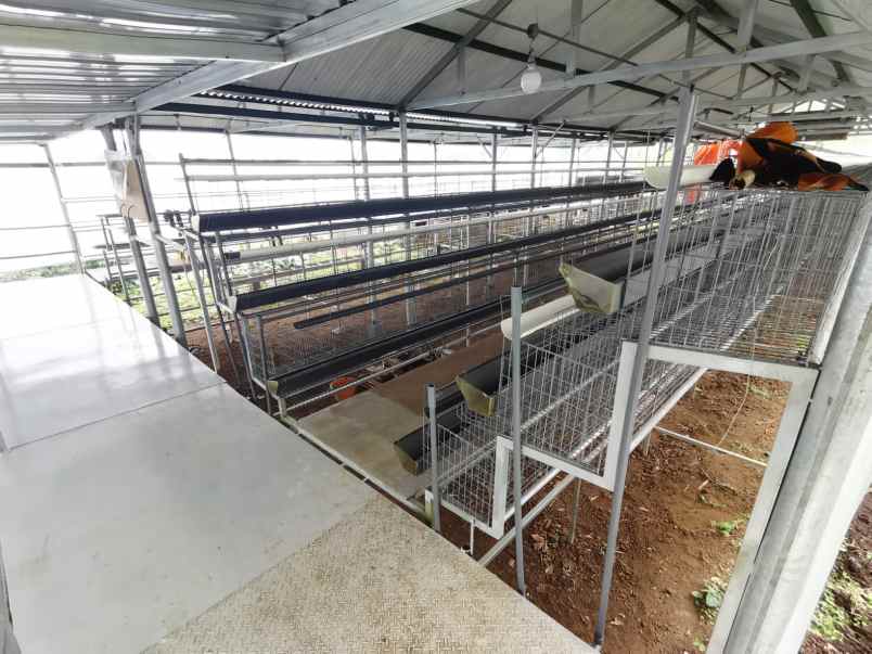 dijual tanah pujon malang