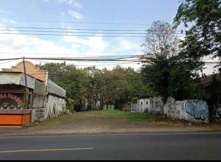 dijual tanah raya domas menganti gresik