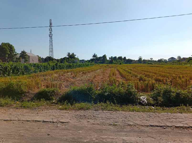 dijual tanah sawah produksi