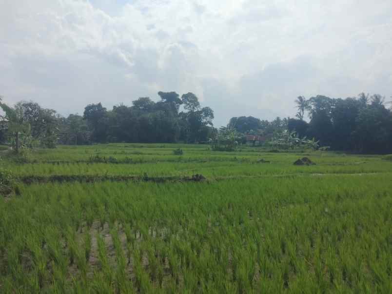 dijual tanah sawah view gunung akses jl mobil