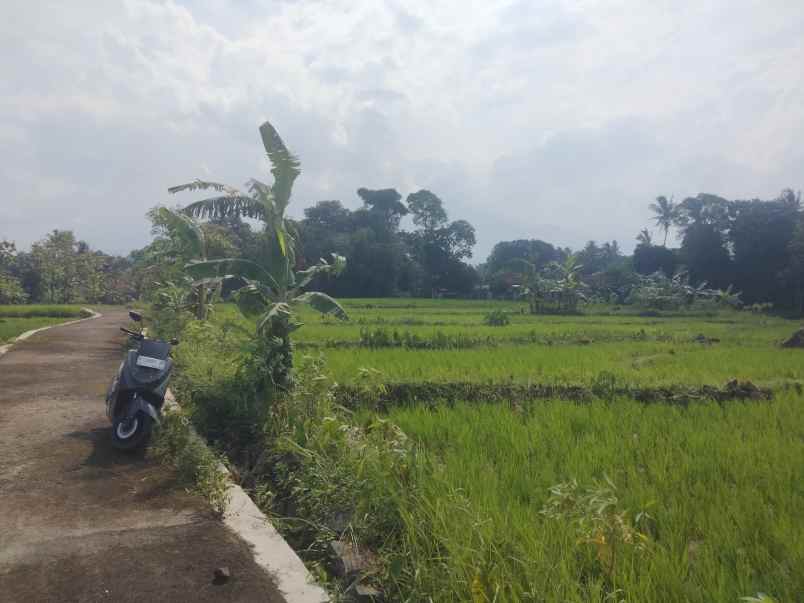 dijual tanah sawah view gunung akses jl mobil