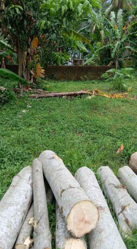 dijual tanah secang magelang
