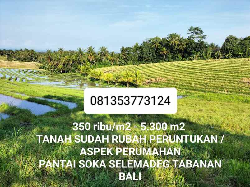 dijual tanah selemadeg tabanan bali