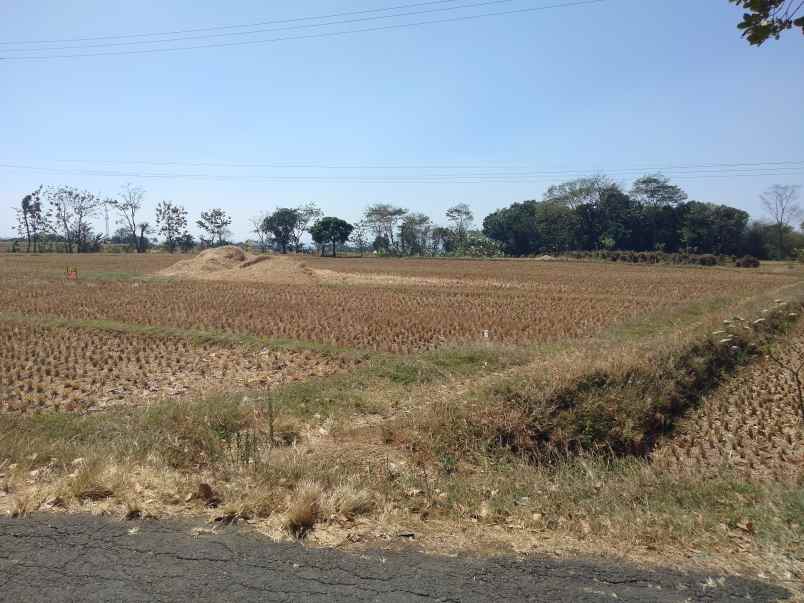 dijual tanah strategis pinggir jalan desa